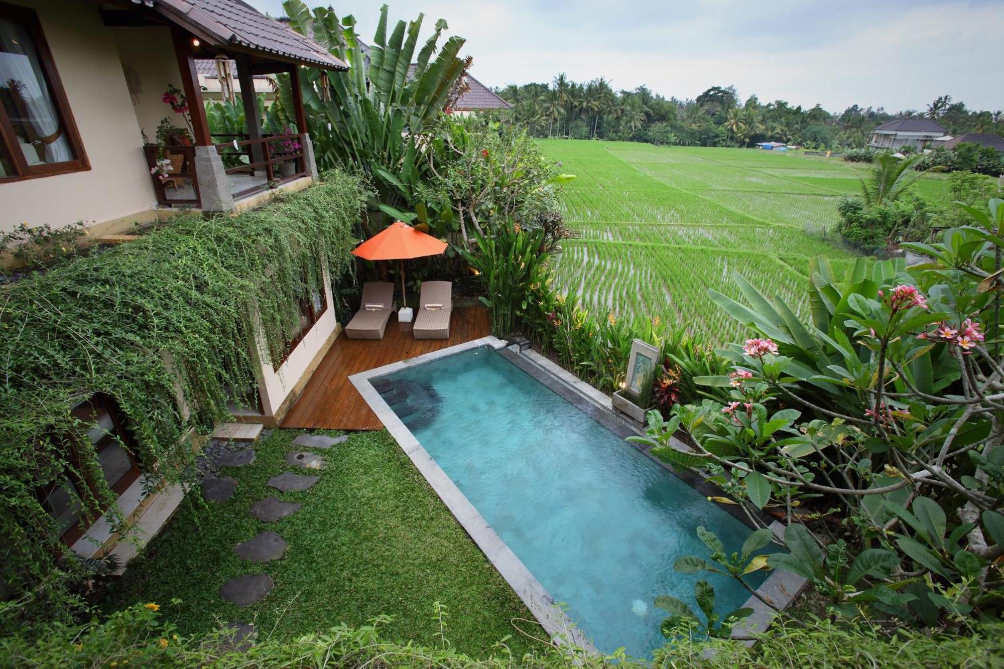 Satori Bali * Ubud
