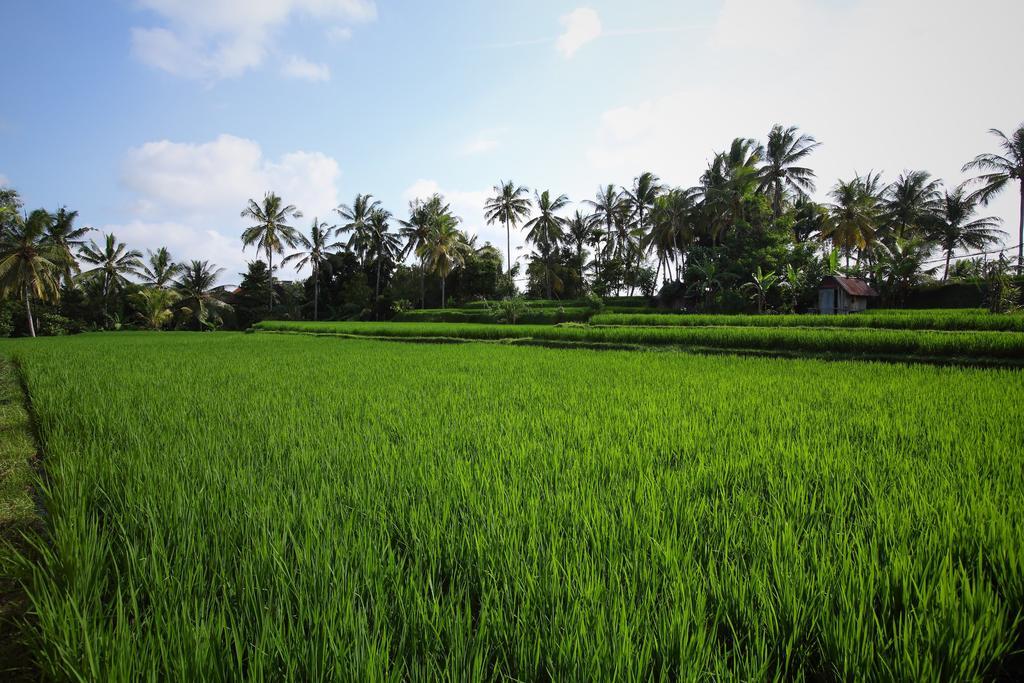 Villa Satori Bali Ubud
