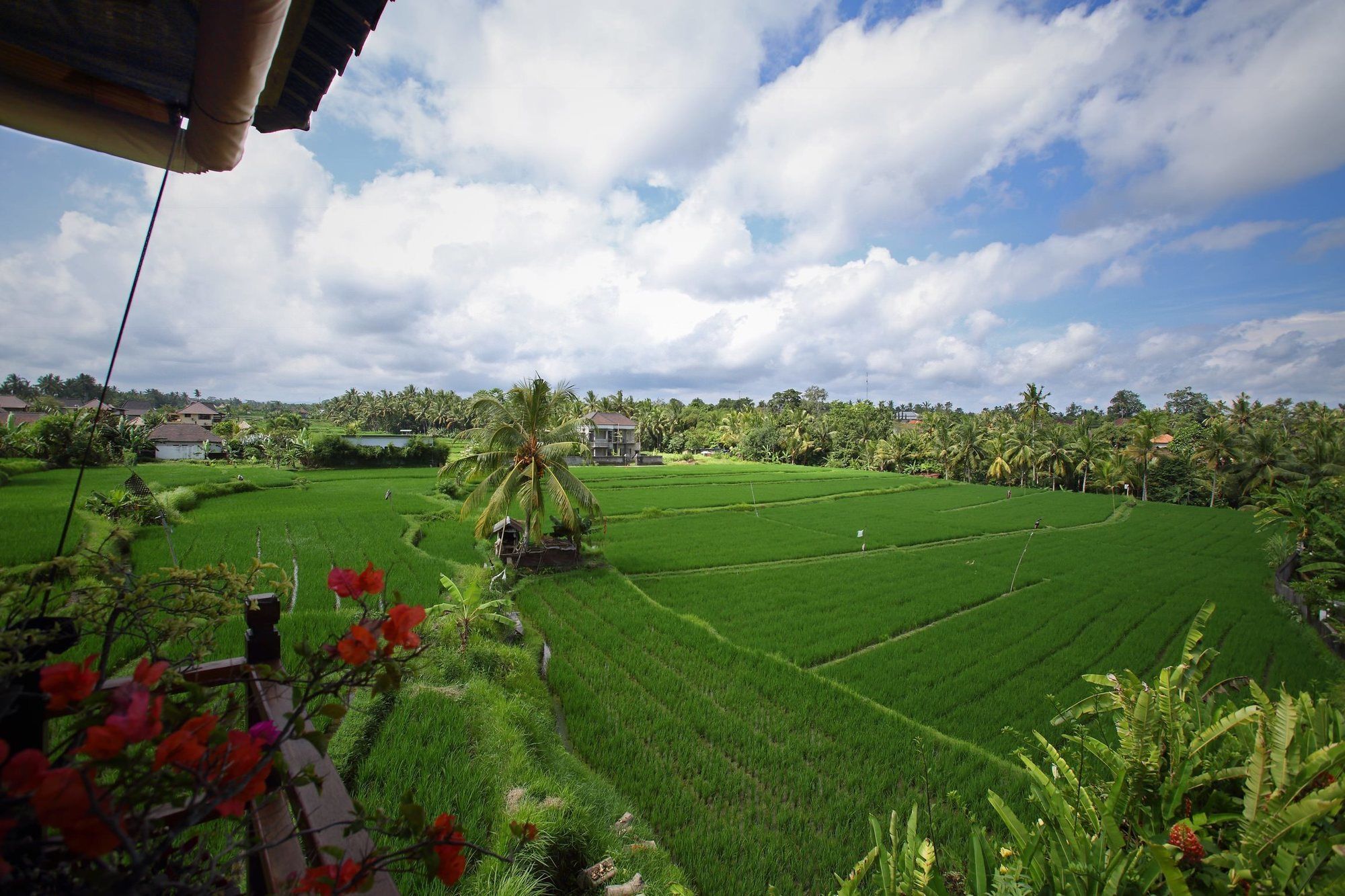 Villa Satori Bali Ubud